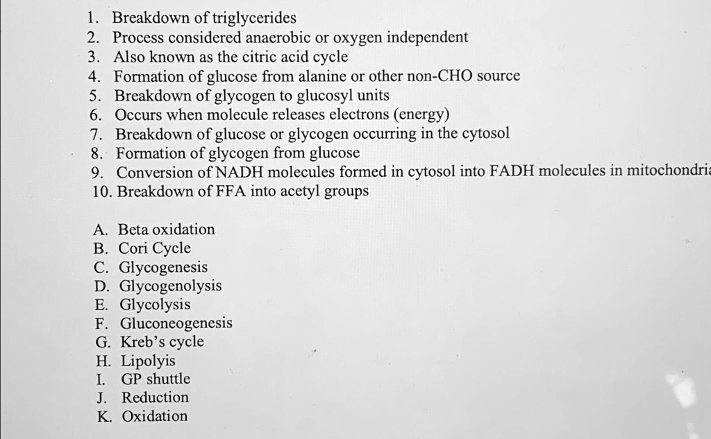 1. Breakdown of triglycerides
2. Process considered anaerobic or oxygen independent
3. Also known as the citric acid cycle
4. Formation of glucose from alanine or other non-CHO source
5. Breakdown of glycogen to glucosyl units
6. Occurs when molecule releases electrons (energy)
7. Breakdown of glucose or glycogen occurring in the cytosol
8. Formation of glycogen from glucose
9. Conversion of NADH molecules formed in cytosol into FADH molecules in mitochondria
10. Breakdown of FFA into acetyl groups
A. Beta oxidation
B. Cori Cycle
C. Glycogenesis
D. Glycogenolysis
E. Glycolysis
F. Gluconeogenesis
G. Kreb's cycle
H. Lipolyis
I. GP shuttle
J. Reduction
K. Oxidation