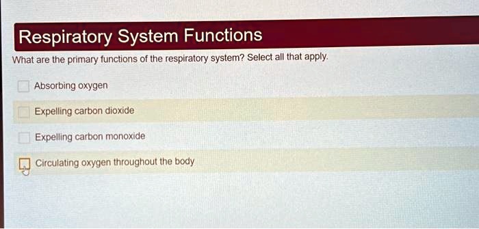 SOLVED: Respiratory System Functions What are the primary functions of ...