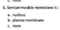 semipermeable membrane is semipermeable memorane nucleus plasma membrane none 27657
