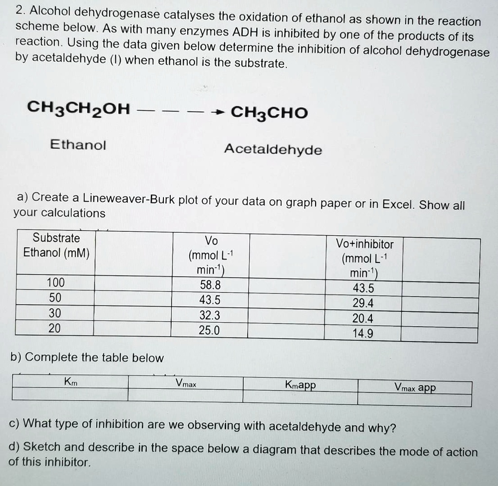 Solved In Part A you analysed the activity of ADH under