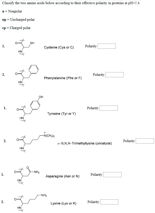 SOLVED Classify the two amino acids below according to their effective