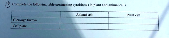Complete the following table contrasting cytokinesis in plant and animal cells.

| | Animal cell | Plant cell |
| :— | :— | :— |
| Cleavage furrow | | |
| Cell plate | | |