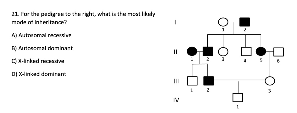 21. For the pedigree to the right, what is the most likely mode of inheritance?

A) Autosomal recessive
B) Autosomal dominant
C) X-linked recessive
D) X-linked dominant