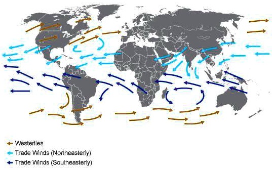 Look at the figure above. From which winds do most tropical storms ...