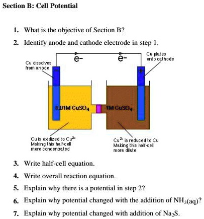 SOLVED: Text: Section B: Cell Potential What is the objective of ...