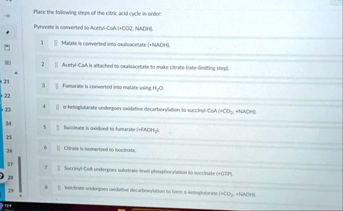 place the following steps of the citric acid cycle in order pyruvate is converted to acetyl coa co2 nadh 1 malate is converted into oxaloacetate nadh 2 acetyl coa is attached to oxaloacetat 66112