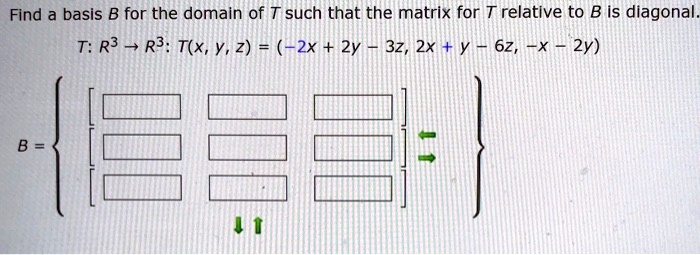 Find A Basis B For The Domain Of T Such That The Matri Itprospt