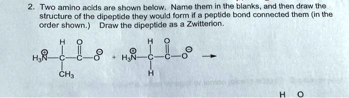 2. Two amino acids are shown below. Name them in the blanks, and then draw the structure of the dipeptide they would form if a peptide bond connected them (in the order shown.) Draw the dipeptide as a Zwitterion.