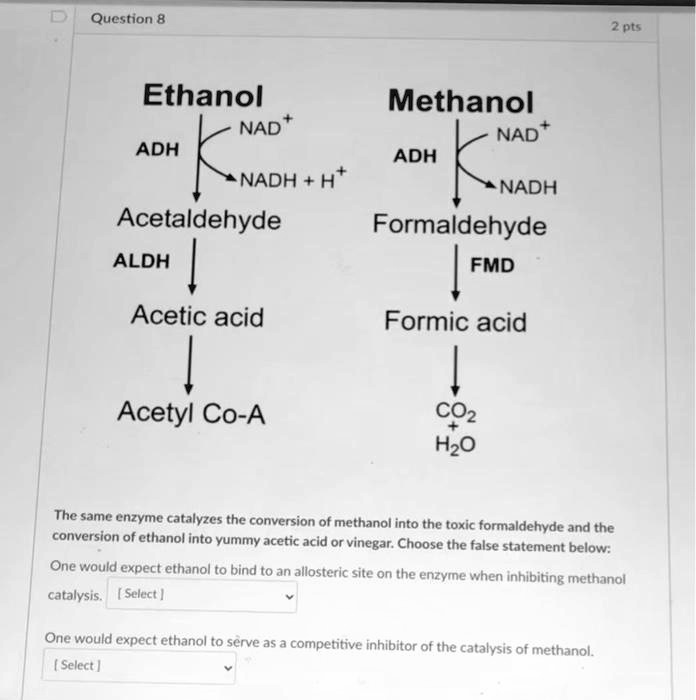 SOLVED Ethanol Methanol NAD NADH ADH ADH NADH K * NADH Acetaldehyde