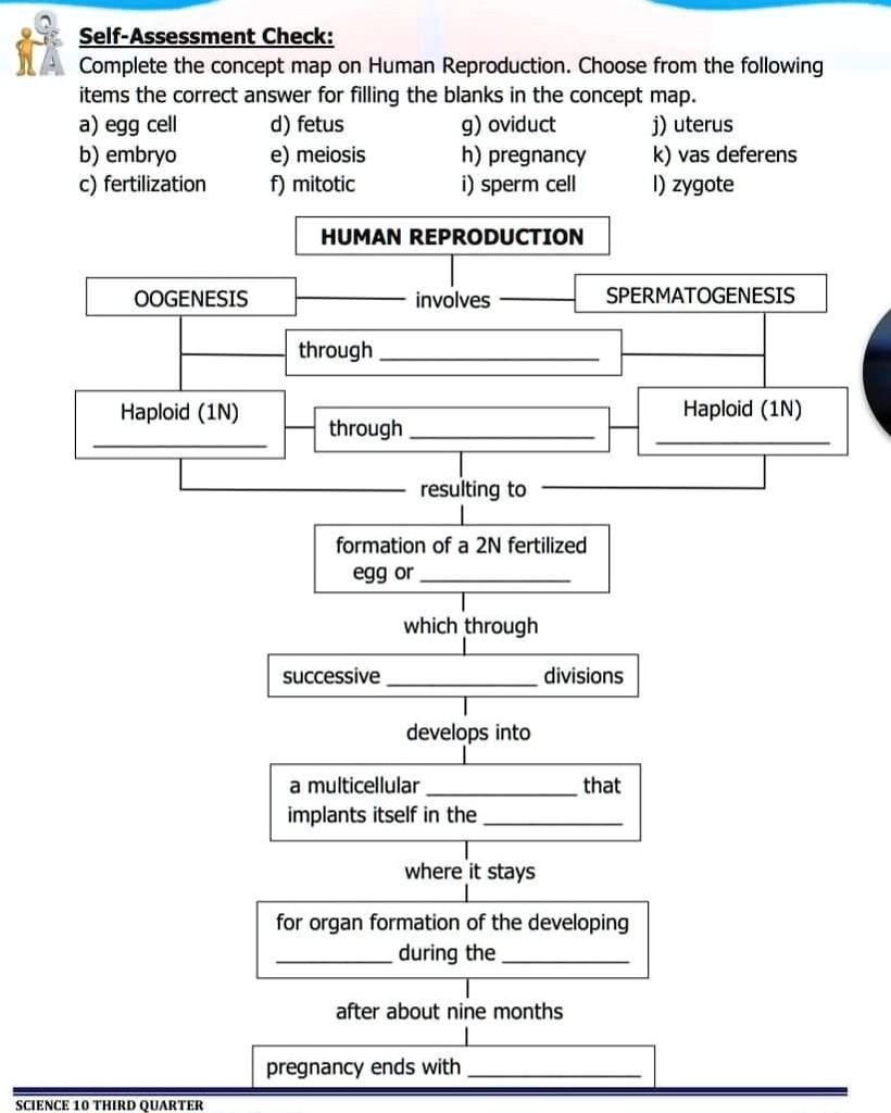 SOLVED: Self-Assessment Check: Complete the concept map on Human ...