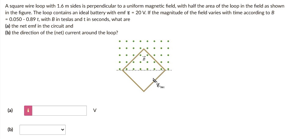 SOLVED: A square wire loop with 1.6 m sides is perpendicular to uniform ...