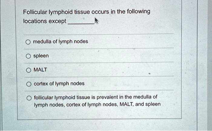 Solved: Follicular Lymphoid Tissue Occurs In The Following Locations 