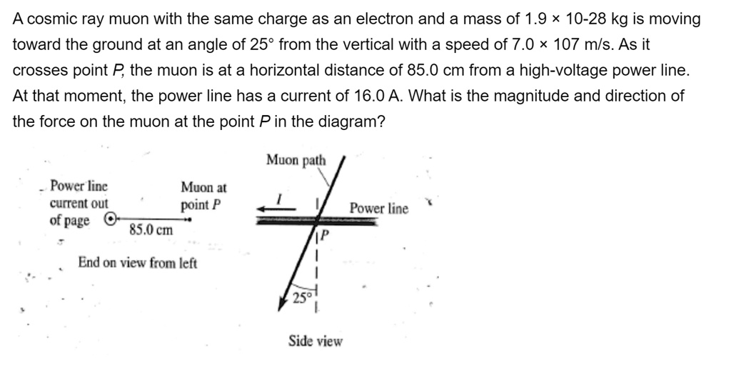 A cosmic ray muon with the same charge as an electron and a mass of 1.9 × 10-28 kg is moving toward the ground at an angle of 25° from the vertical with a speed of 7.0 × 107 m/s. As it crosses point P, the muon is at a horizontal distance of 85.0 cm from a high-voltage power line. At that moment, the power line has a current of 16.0 A. What is the magnitude and direction of the force on the muon at the point P in the diagram?
Muon path
Power line current out of page
Muon at point P
85.0 cm
Power line
End on view from left
25°
Side view