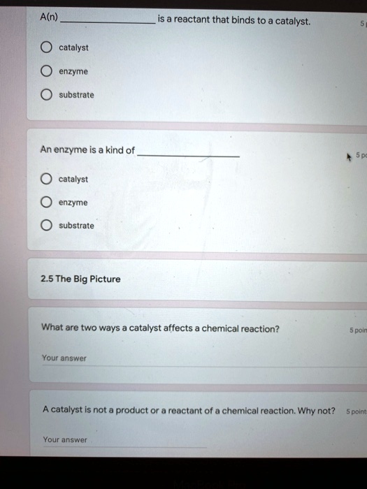 SOLVED A(n) is a reactant that binds to catalyst catalyst enzyme