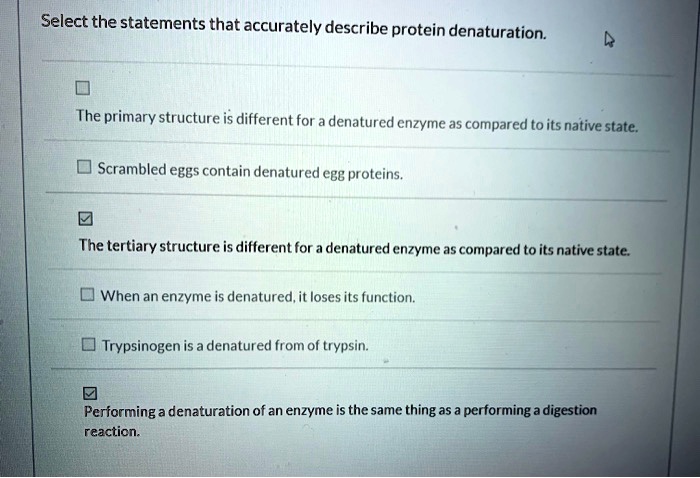 SOLVED:Select the statements that accurately describe protein