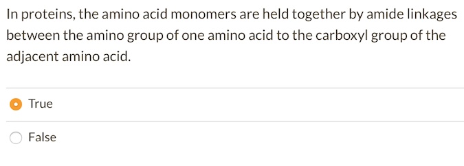 In proteins, the amino acid monomers are held together by amide linkages between the amino group of one amino acid to the carboxyl group of the adjacent amino acid.
True
False