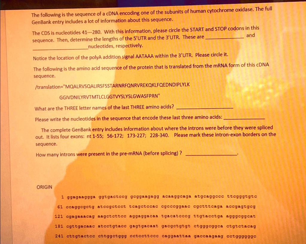 the text provided does not contain any spelling typographical grammatical ocr or mathematical errors 53132