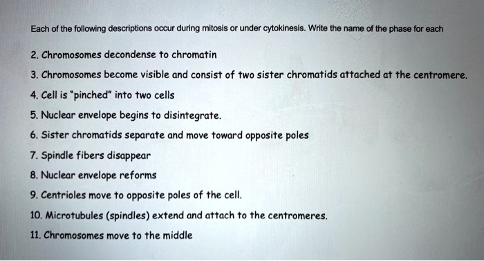 Each of the following descriptions occur during mitosis or under cytokinesis. Write the name of the phase for each

2. Chromosomes decondense to chromatin
3. Chromosomes become visible and consist of two sister chromatids attached at the centromere.
4. Cell is "pinched" into two cells
5. Nuclear envelope begins to disintegrate.
6. Sister chromatids separate and move toward opposite poles
7. Spindle fibers disappear
8. Nuclear envelope reforms
9. Centrioles move to opposite poles of the cell.
10. Microtubules (spindles) extend and attach to the centromeres.
11. Chromosomes move to the middle