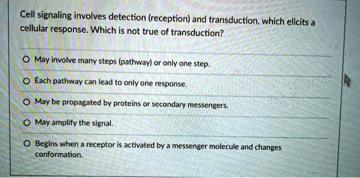 Cell signaling involves detection (reception) and transduction, which elicits a cellular response. Which is not true of transduction?

May involve many steps (pathway) or only one step.
Each pathway can lead to only one response.
May be propagated by proteins or secondary messengers.
May amplify the signal.
Begins when a receptor is activated by a messenger molecule and changes conformation.