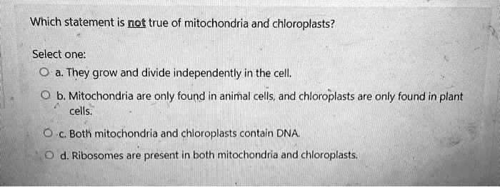 SOLVED: Which statement is not true of mitochondria and chloroplasts ...