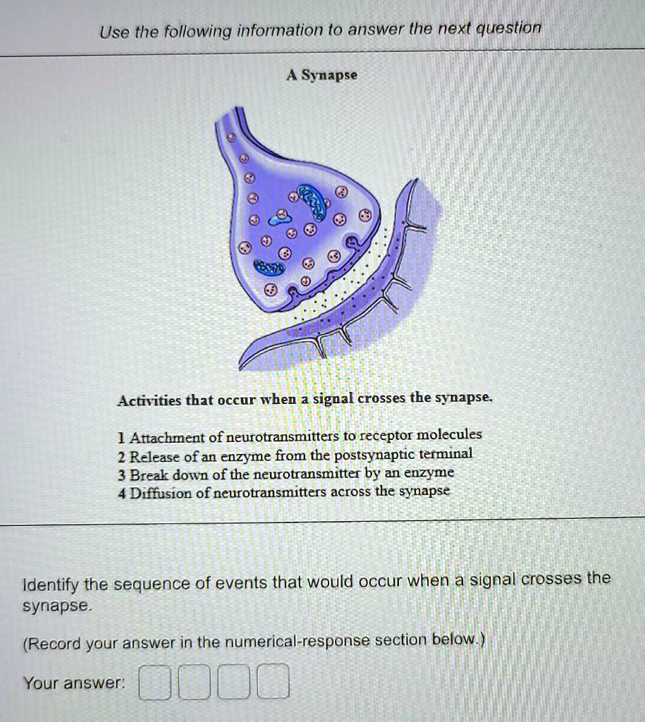 SOLVED 1. Attachment of neurotransmitters to receptor molecules 2. Release of an enzyme from