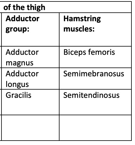 SOLVED: a) What is the bone(s) of origin and insertion? b) What type of ...