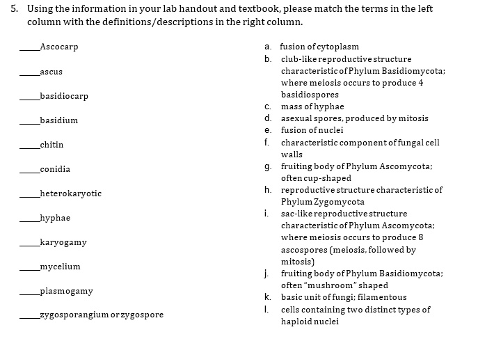 SOLVED:Using the information in your lab handout and textbook; please ...