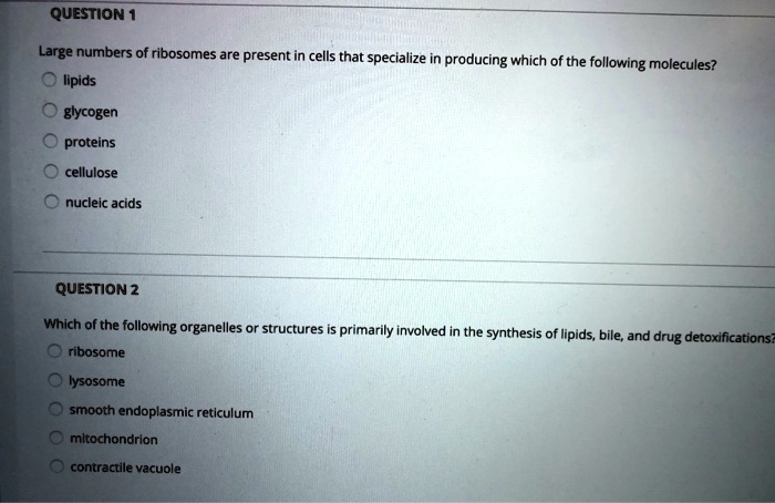 Large numbers of ribosomes are present in cells that specialize in producing which of the following molecules?
lipids
glycogen
proteins
cellulose
nucleic acids

Which of the following organelles or structures is primarily involved in the synthesis of lipids, bile, and drug detoxifications?
ribosome
lysosome
smooth endoplasmic reticulum
mitochondrion
contractile vacuole