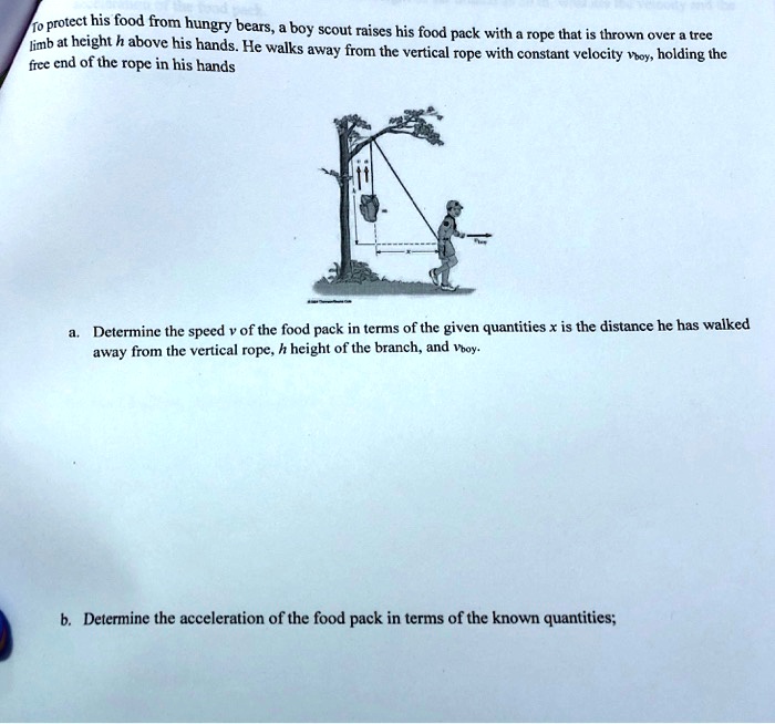 To protect his food from hungry bears, a boy scout raises his food pack with a rope that is thrown over a tree limb at height h above his hands. He walks away from the vertical rope with constant velocity vboy, holding the free end of the rope in his hands
a. Determine the speed v of the food pack in terms of the given quantities x is the distance he has walked away from the vertical rope, h height of the branch, and vboy.
b. Determine the acceleration of the food pack in terms of the known quantities;