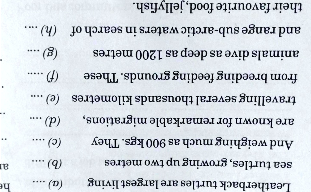 put omissions in this please answer the question it is very important 36681