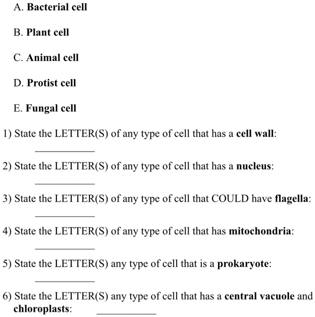 A. Bacterial cell
B. Plant cell
C. Animal cell
D. Protist cell
E. Fungal cell
1) State the LETTER(S) of any type of cell that has a cell wall:
2) State the LETTER(S) of any type of cell that has a nucleus:
3) State the LETTER(S) of any type of cell that COULD have flagella:
4) State the LETTER(S) of any type of cell that has mitochondria:
5) State the LETTER(S) any type of cell that is a prokaryote:
6) State the LETTER(S) any type of cell that has a central vacuole and chloroplasts: