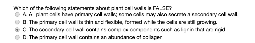 Solved:which Of The Following Statements About Plant Cell Walls Is False?  A. All Plant Cells Have Primary Cell Walls; Some Cells May Also Secrete A  Secondary Cell Wall. B. The Primary Cell Solved:which Of The Following Statements About Plant Cell Walls Is False?  A. All Plant Cells Have Primary Cell Walls; Some Cells May Also Secrete A  Secondary Cell Wall. B. The Primary Cell