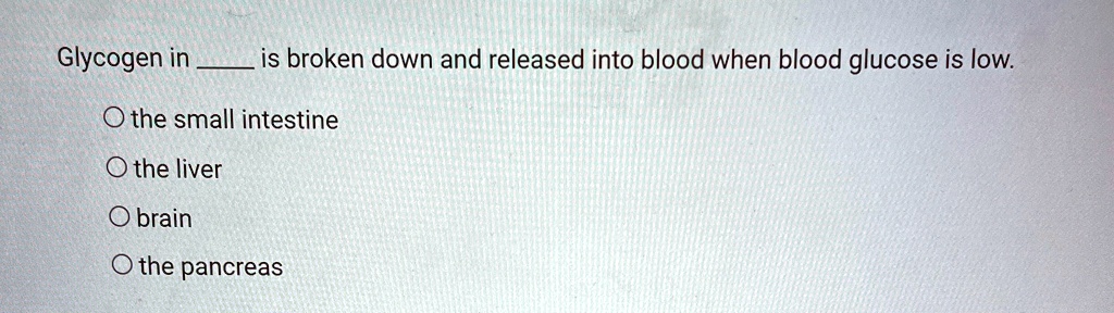 Glycogen in  is broken down and released into blood when blood glucose is low.
O the small intestine
O the liver
O brain
O the pancreas