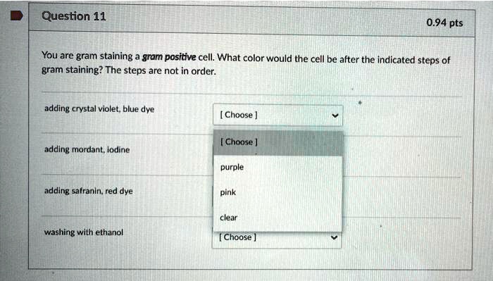 Question 11 0.94 pts You are gram staining a gram positive cell. What ...