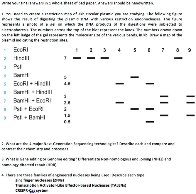 SOLVEDWrite Your fina answers in whole sheet oi pad paper. Answers