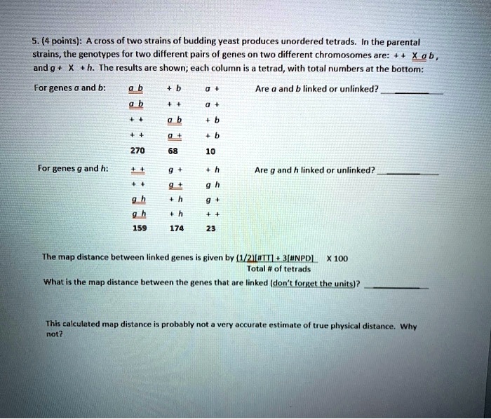 5. (4 points): A cross of two strains of budding yeast produces unordered tetrads. In the parental strains, the genotypes for two different pairs of genes on two different chromosomes are: + + X a b, and g + X + h. The results are shown; each column is a tetrad, with total numbers at the bottom:

For genes a and b:
a b	+ b	a +
Are a and b linked or unlinked? 
a b	+ +	a +
+ +	a b	+ b
+ +	a +	+ b
270	68	10

For genes g and h:
+ +	g +	+ h
Are g and h linked or unlinked? 
+ +	g +	g h
g h	+ h	g +
g h	+ h	+ +
159	174	23

The map distance between linked genes is given by (1/2)[#TT] + 3[#NPD] X 100
Total # of tetrads

What is the map distance between the genes that are linked (don't forget the units)? 

This calculated map distance is probably not a very accurate estimate of true physical distance. Why not?