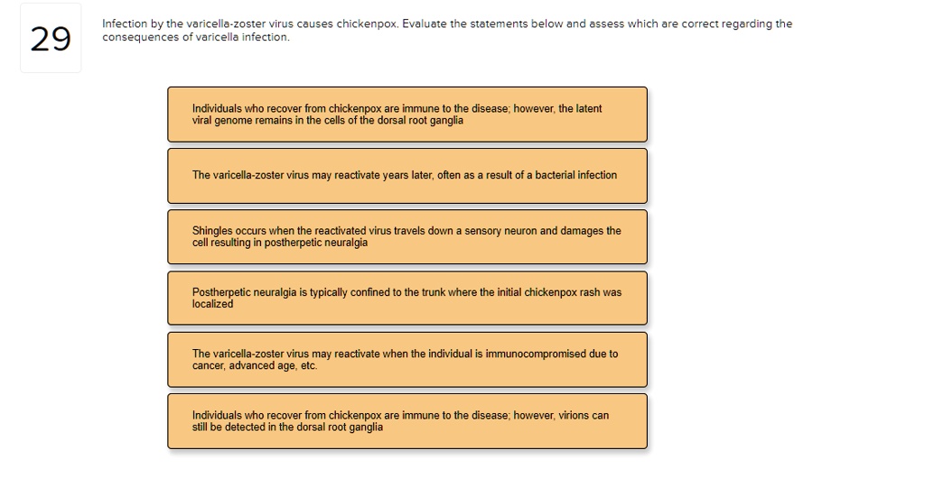 Infection by the varicella-zoster virus causes chickenpox. Evaluate the statements below and assess which are correct regarding the consequences of varicella infection.

Individuals who recover from chickenpox are immune to the disease; however, the latent viral genome remains in the cells of the dorsal root ganglia
The varicella-zoster virus may reactivate years later, often as a result of a bacterial infection
Shingles occurs when the reactivated virus travels down a sensory neuron and damages the cell resulting in postherpetic neuralgia
Postherpetic neuralgia is typically confined to the trunk where the initial chickenpox rash was localized
The varicella-zoster virus may reactivate when the individual is immunocompromised due to cancer, advanced age, etc.
Individuals who recover from chickenpox are immune to the disease; however, virions can still be detected in the dorsal root ganglia.