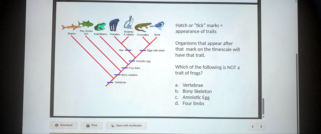 SOLVED: Hatch or "tick" marks = appearance of traits Organisms that