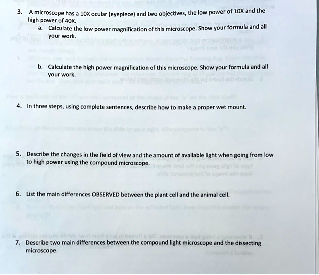Compound Light Microscope Magnification Calculation Shelly Lighting