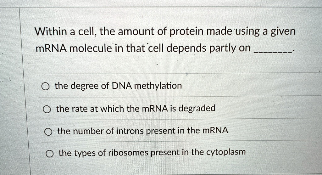 within a cell the amount of protein made using a given mrna molecule in that cell depends partly on  the degree of dna methylation the rate at which the mrna is degraded the number 14106