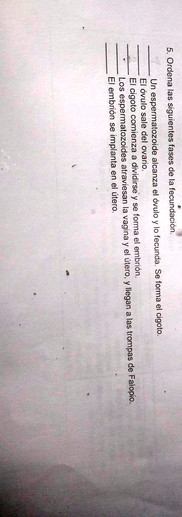 SOLVED: 5. Ordena Las Siguientes Fases De La Fecundación. Un ...