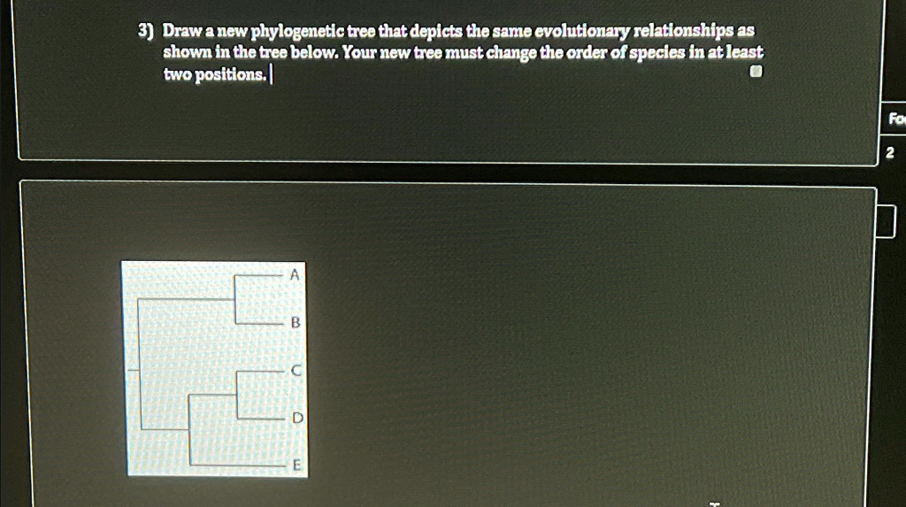 draw a new phylogenetic tree that depicts the same cvelutionary ...
