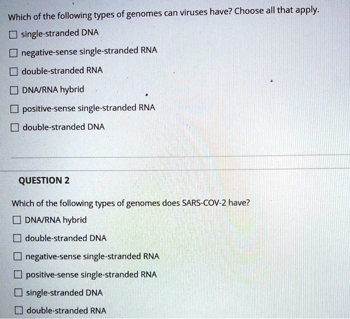 Solved Which Of The Following Types Of Genomes Can Viruses Have Choose All That Apply Single Stranded Dna Negative Sense Single Stranded Rna Double Stranded Rna Dnavrna Hybrid Positive Sense Single Stranded Rna Double Stranded Dna Question 2 Which Of