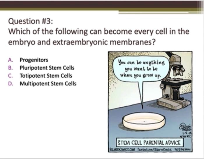 SOLVED Question 3 Which of the following can every cell in