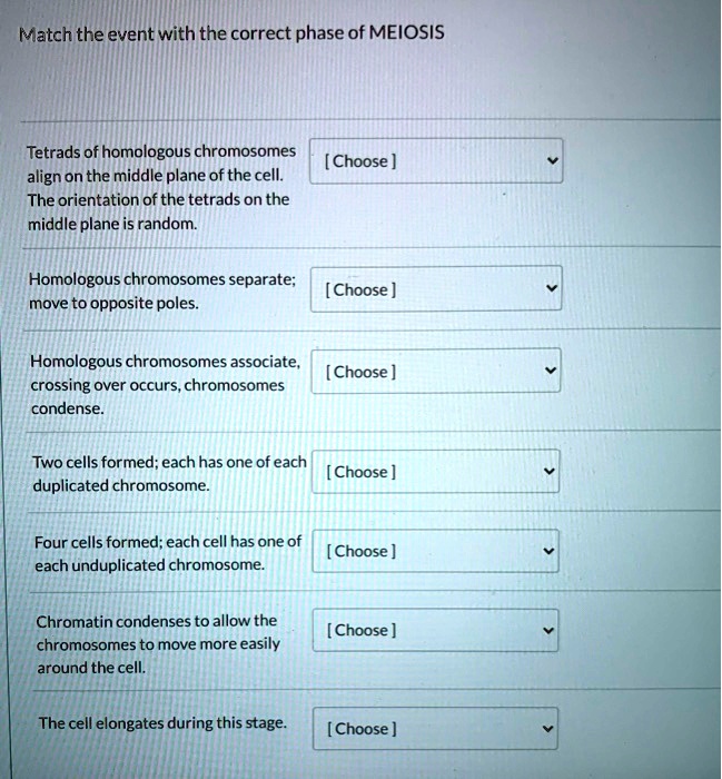SOLVED: Match the event with the correct phase of MEIOSIS Tetrads of ...