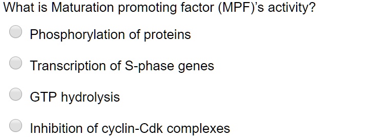 SOLVED: What is Maturation promoting factor (MPF)'s activity ...