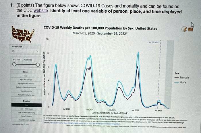 1. (6 points) The figure below shows COVID-19 Cases and mortality and can be found on
the CDC website. Identify at least one variable of person, place, and time displayed
in the figure.
COVID-19 Weekly Deaths per 100,000 Population by Sex, United States
March 01, 2020 - September 24, 2022*
Jurisdiction
9/1/2020
9/24/2022
Cases
Deaths
Incident Deaths per 100,000 Population
10
Jan 25, 2022*
Jul 2020
Jan 2021
Jul 2021
Jan 2022
Jul 2022
Case Earliest Date by End of Week*
Sex
Female
Male
CDC