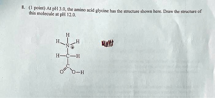 Amino Acid Structures Quiz | Biology | 20 Questions