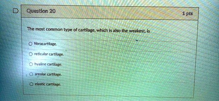 The most common type of cartilage, which is also the weakest, is
fibrocartilage.
reticular cartilage.
hyaline cartilage.
areolar cartilage.
elastic cartilage.