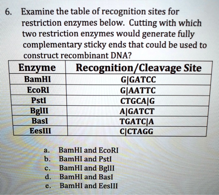 SOLVED 6 Examine the table of recognition sites for restriction